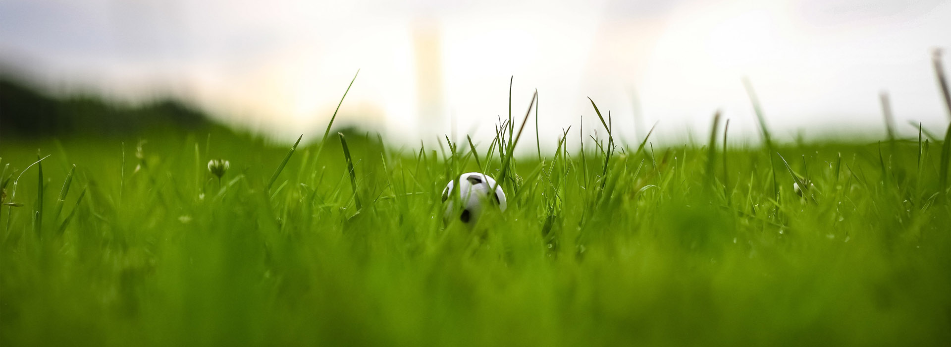 sliderbild01.6.6228c46b17408